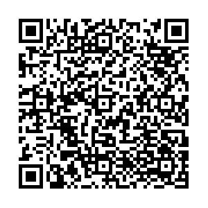 1719916278216114.jpeg 003石家庄经济职业公司校外教学点预报名二维码.png